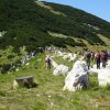 Monte Acquaviva della Maiella dal rifugio Pomilio - 23 luglio 2017  