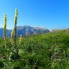 Monte Acquaviva della Maiella dal rifugio Pomilio - 23 luglio 2017  