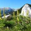 Monte Acquaviva della Maiella dal rifugio Pomilio - 23 luglio 2017  