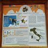 Monte Amaro di Opi 29-10-20017